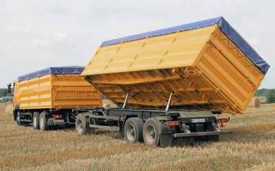 Услуги зерновозов для перевозки зерна - Бессоновка, цены, предложения специалистов