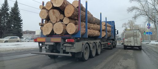 Поиск транспорта для перевозки леса, бревен и кругляка стоимость услуг и где заказать - Пенза